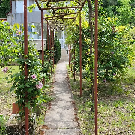 Ferienhaus Mimi *